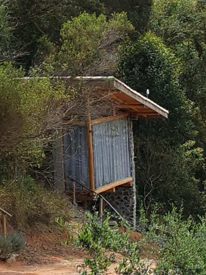 Tiny Houses O Olival - Aluguel Temporada Cunha Dış mekan fotoğraf